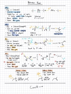 Profile photo of Andrew Tian, undefined tutor at Wiingy