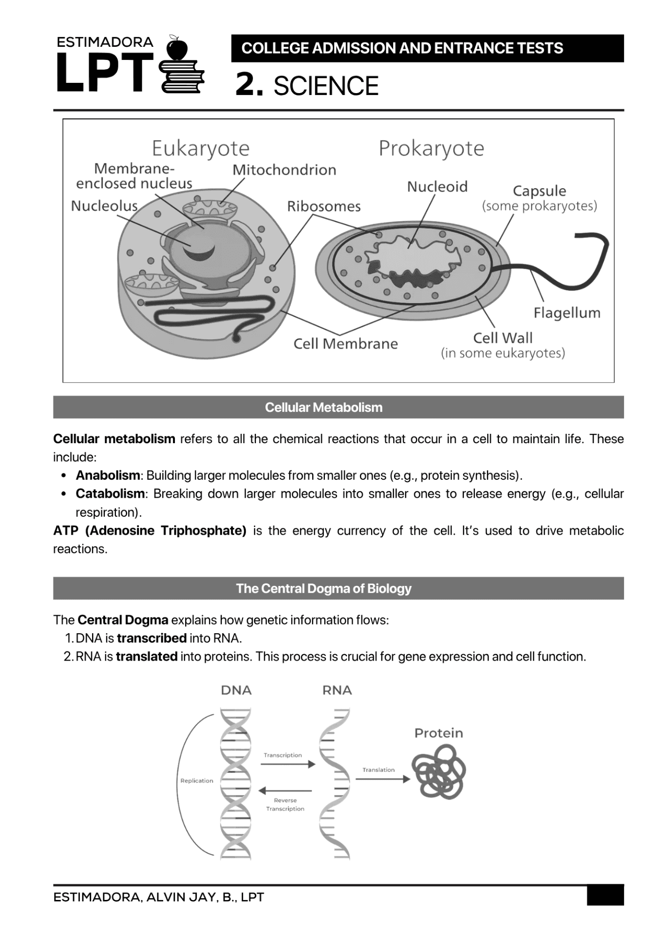 Live performance with Biology by Alvin Jay