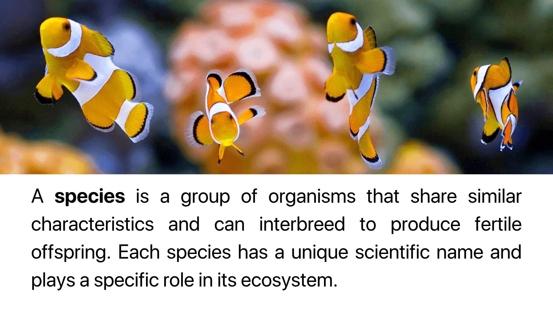 Biology learning materials by Alvin Jay