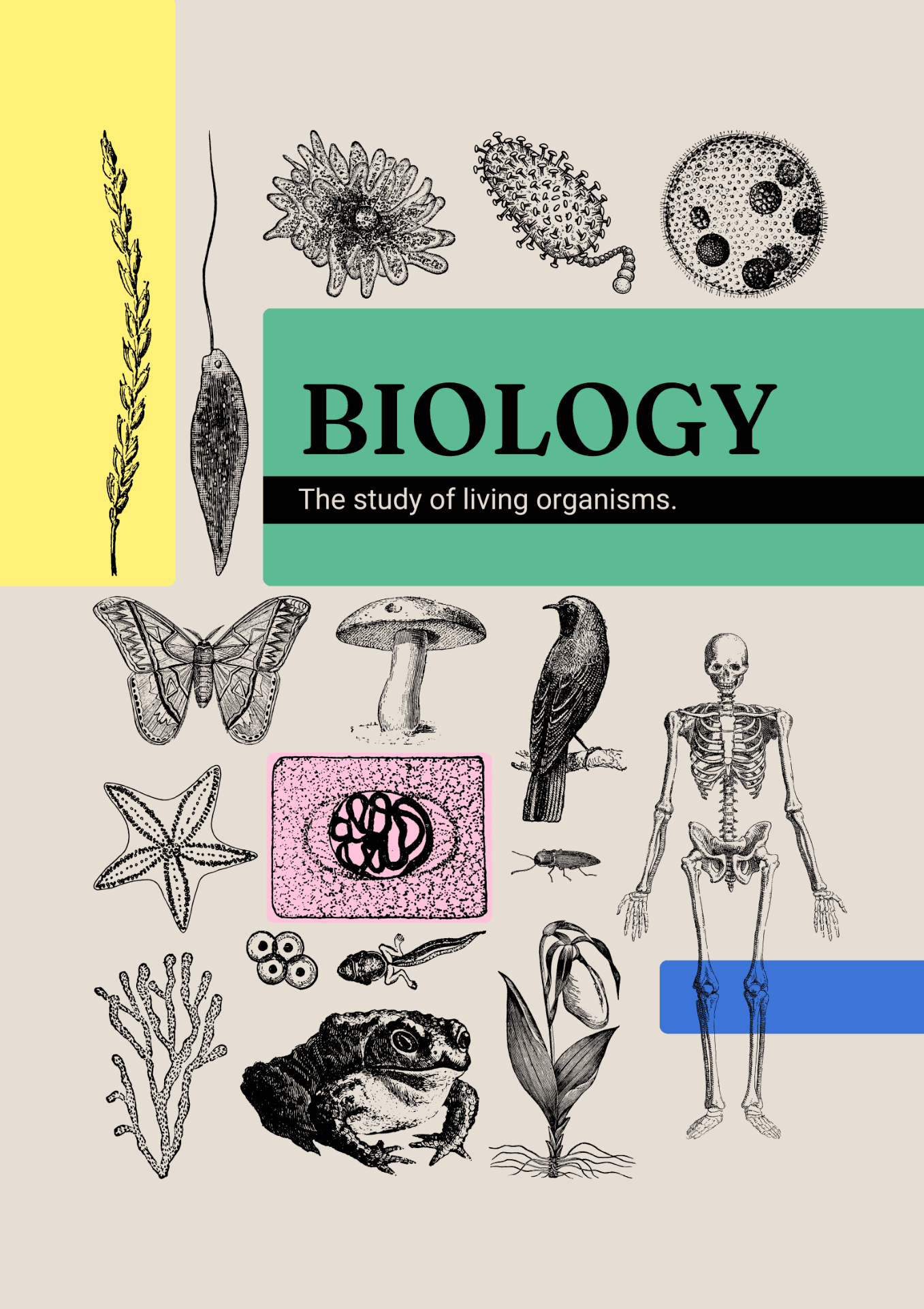 Biology learning materials by Yanika Jones