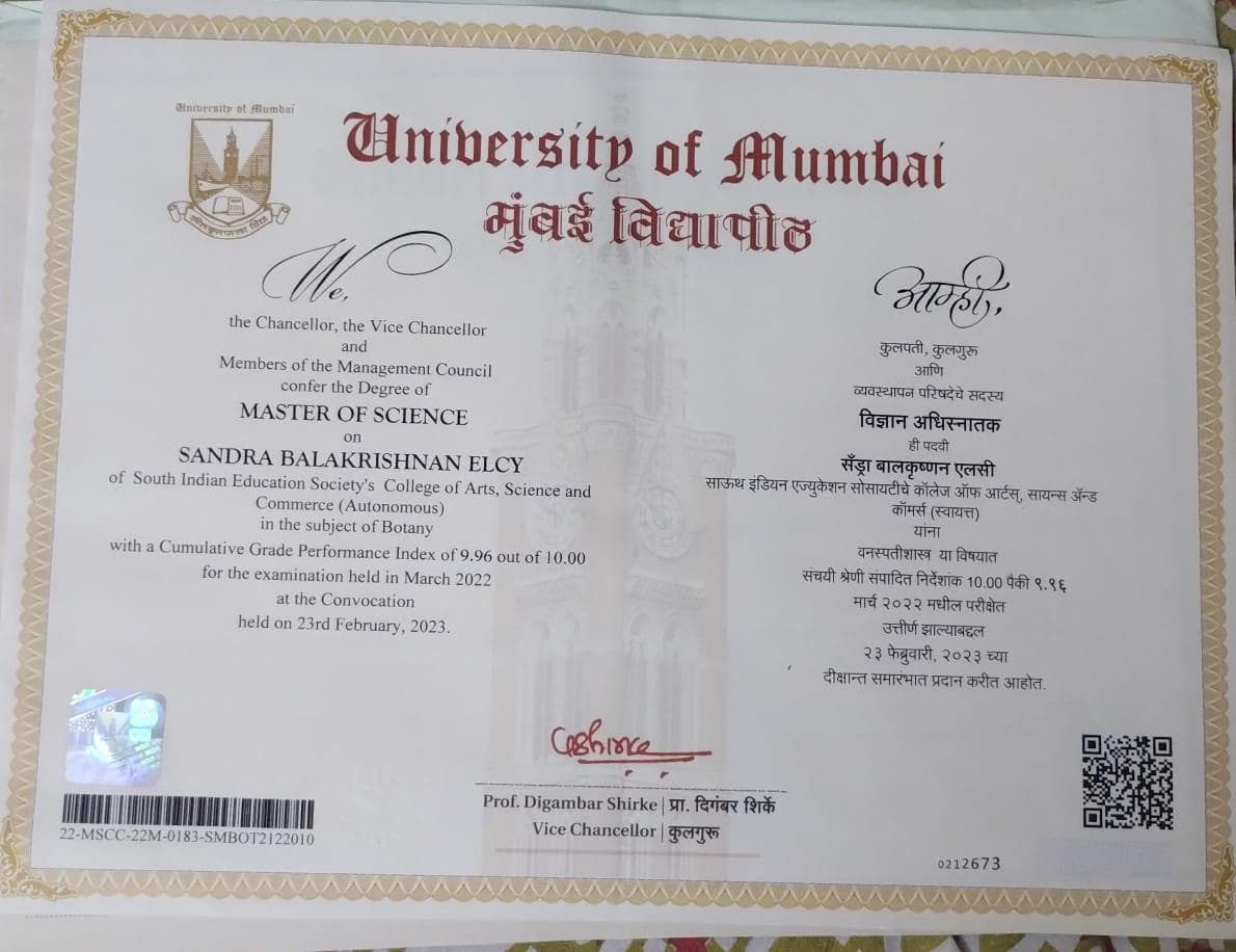 Sandra graduated from mumbai unversity