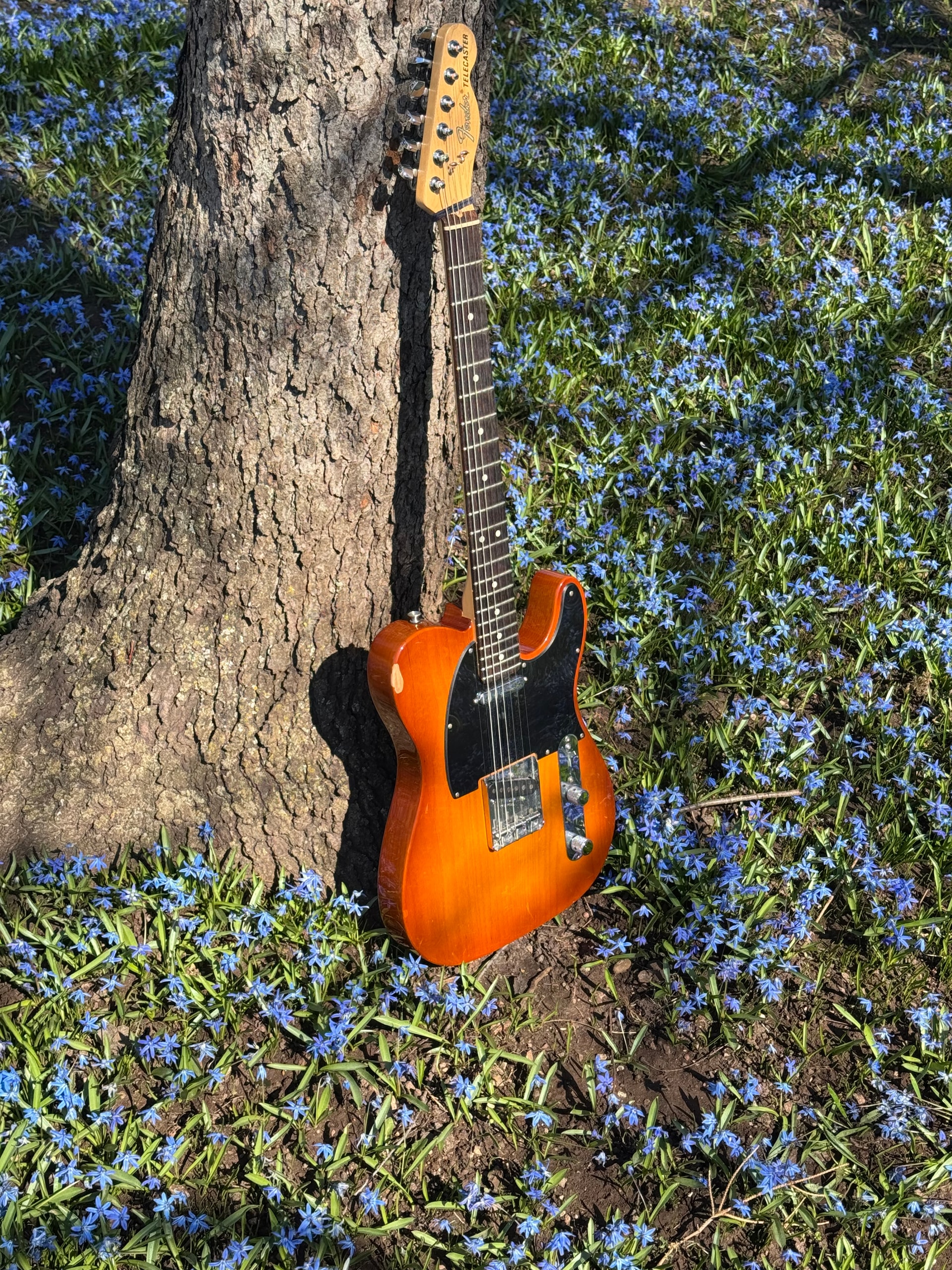 Profile photo of Zach K, undefined tutor at Wiingy