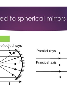 Profile photo of Abhurva Michelle Franklin , undefined tutor at Wiingy