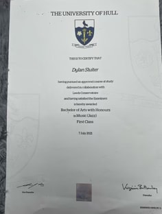 Profile photo of Dylan Sluiter, undefined tutor at Wiingy