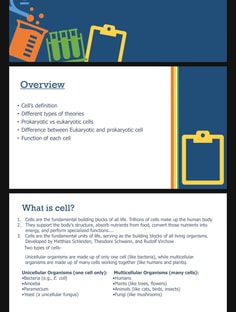 Profile photo of Srishti Srivastava , undefined tutor at Wiingy