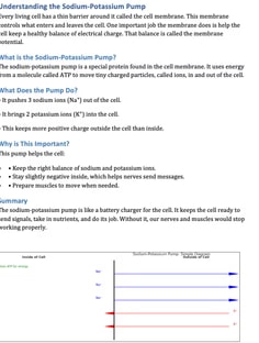 Profile photo of Lina Rguig, undefined tutor at Wiingy