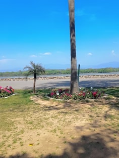 Profile photo of Nikita Singh, undefined tutor at Wiingy