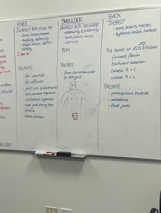 Profile photo of Amy Green, undefined tutor at Wiingy