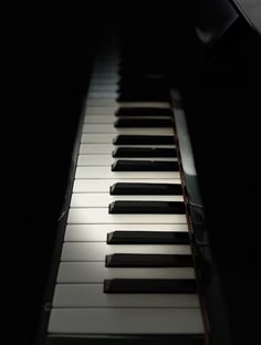 Profile photo of T Sau, undefined tutor at Wiingy