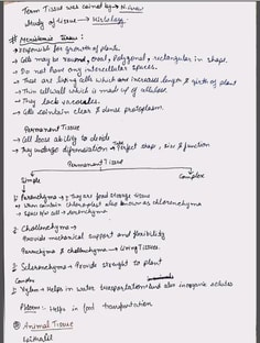 Profile photo of Priyanka Kumari, undefined tutor at Wiingy