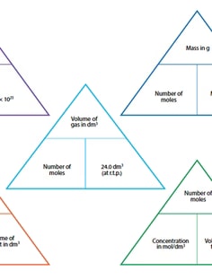 Profile photo of sharmila em, undefined tutor at Wiingy