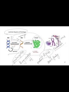 Profile photo of Gunjit Maan, undefined tutor at Wiingy