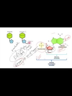 Profile photo of Gunjit Maan, undefined tutor at Wiingy