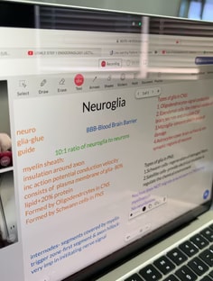 Profile photo of Shravanthi Pinninti, undefined tutor at Wiingy