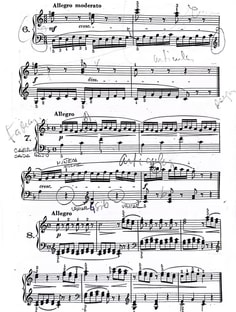 Profile photo of Lautaro Secilio, undefined tutor at Wiingy