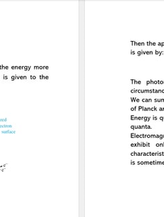 Profile photo of Zeina Koolivand, undefined tutor at Wiingy