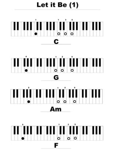 Profile photo of Guido Donato, undefined tutor at Wiingy