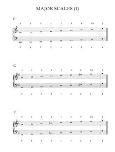 Profile photo of Guido Donato, undefined tutor at Wiingy