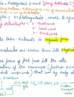 Profile photo of Shivani Mishra, undefined tutor at Wiingy