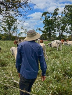 Profile photo of Kenneth López, undefined tutor at Wiingy