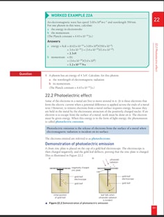 Profile photo of PRINCE RAI, undefined tutor at Wiingy