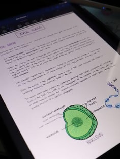 Profile photo of Sheelu Tripathi, undefined tutor at Wiingy