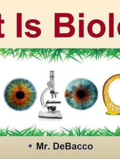 Profile photo of Sheelu Tripathi, undefined tutor at Wiingy