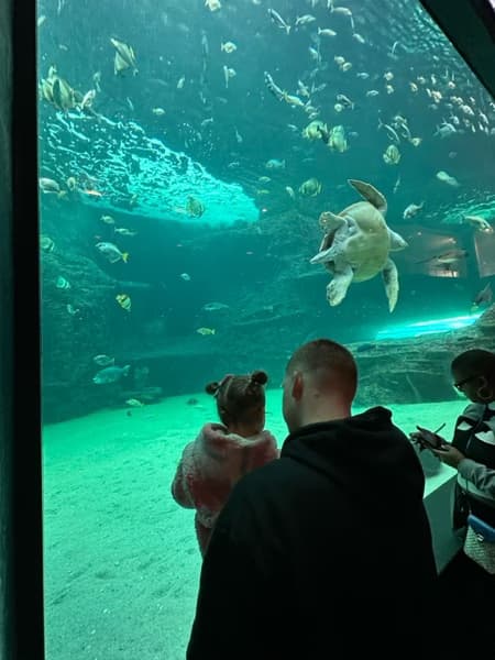 Travel snapshot of Alistair during a trip