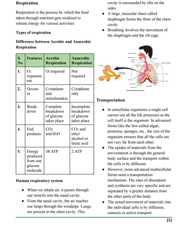 Live performance with Biology by Gracy