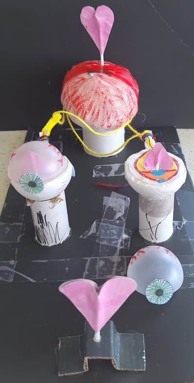 Biology learning materials by Vincent