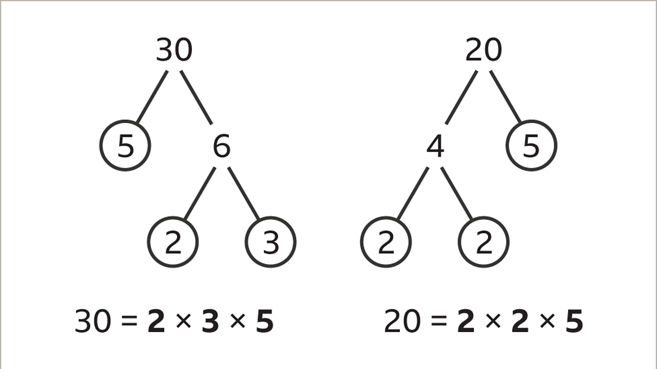 How To Find LCM of 3 and 8 using Listing, Division, Prime Factorization Method?