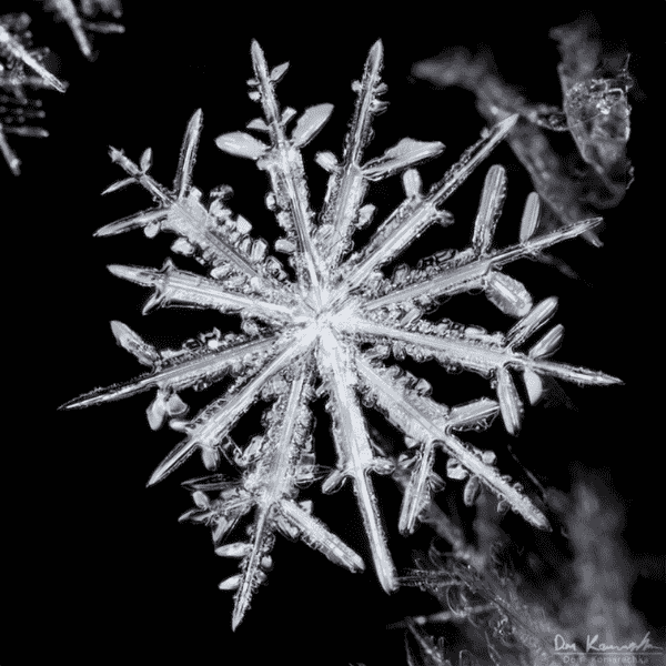 Applications of geometry in everyday life #1-Snowflakes