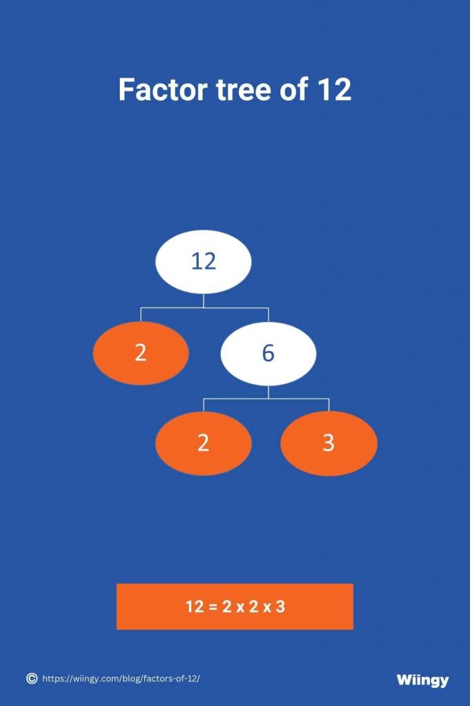 Factor tree of 12