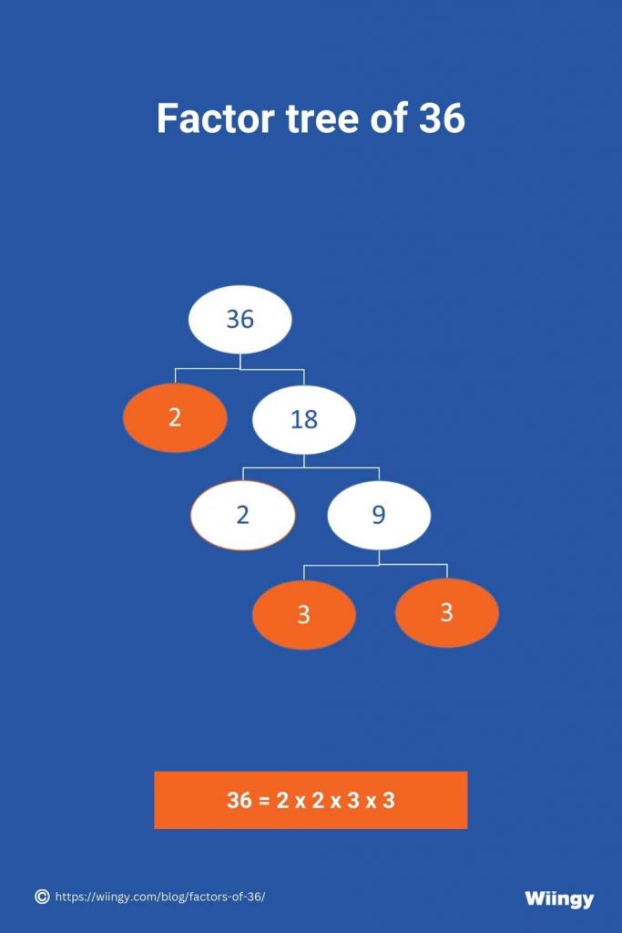 Factor tree of 36