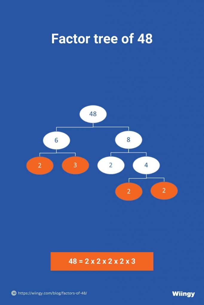 Factor tree of 48