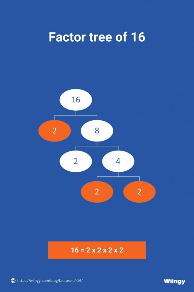 Factor tree of 16