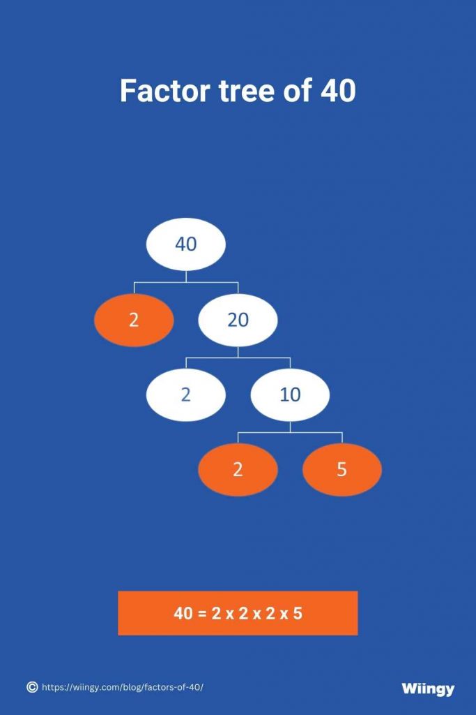 Factor tree of 40