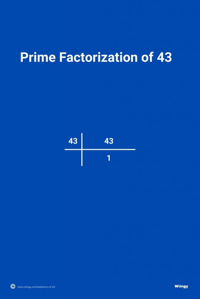 Prime Factorization of 43