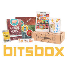 Bitsbox - a coding subscription game