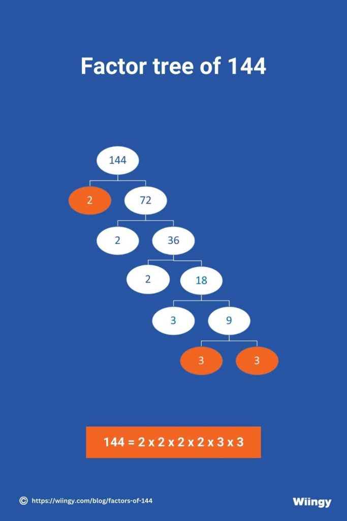 Factor tree of 144