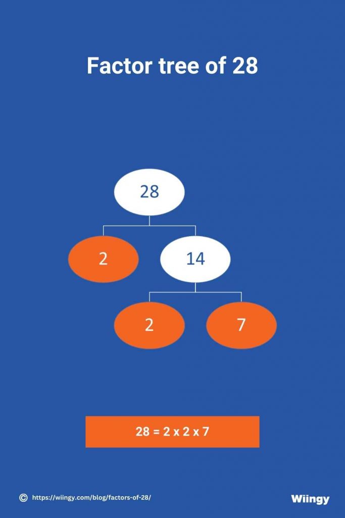 Factor tree of 28