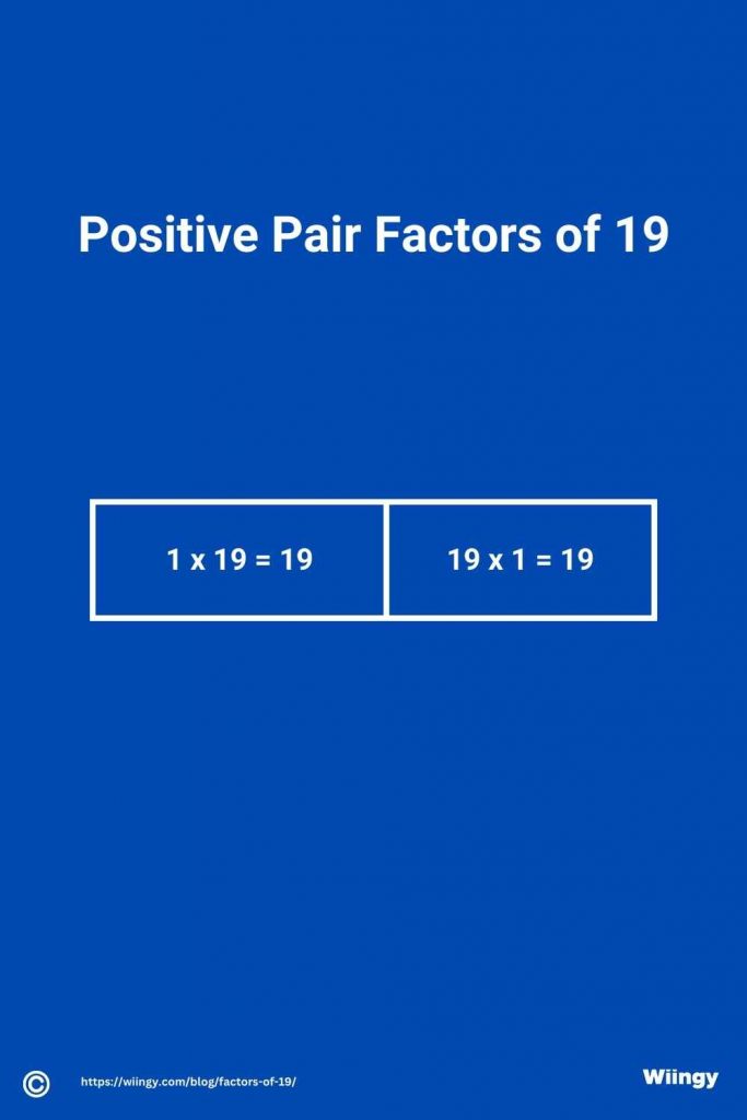Positive Pair Factors of 19