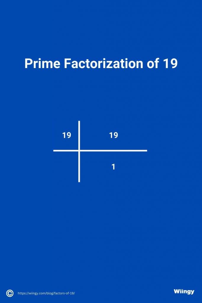 Prime Factorization of 19
