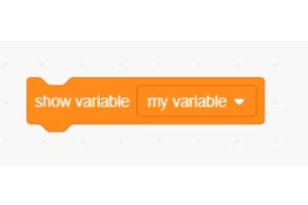 Used to display the variable