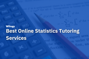 Best Online Statistics Tutoring Services