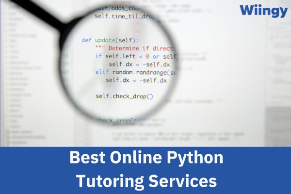 best online python tutoring services