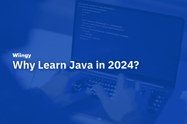 why learn java